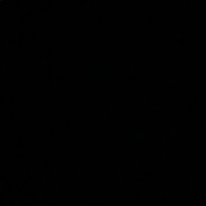 Meet your Posher, Ingrid